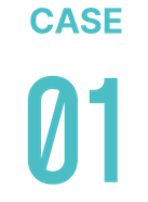 CASE 01